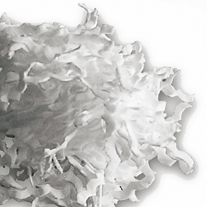 Absorption flakes